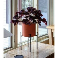 Best deal 🧨 15"H Cylinder Planter Pot Burnt Sienna Galvanized Steel with 4-Legged Black Wrought Iron Plant Stand - ACHLA Designs 🧨 -Planters Sales Store unnamed file 5872