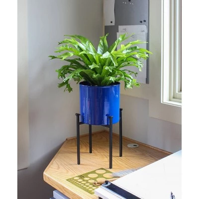 Buy ๐คฉ 15"H Cylinder Planter Pot French Blue Galvanized Steel with 4-Legged Black Wrought Iron Plant Stand - ACHLA Designs ๐ 3 Buy ๐คฉ 15"H Cylinder Planter Pot French Blue Galvanized Steel with 4-Legged Black Wrought Iron Plant Stand - ACHLA Designs ๐