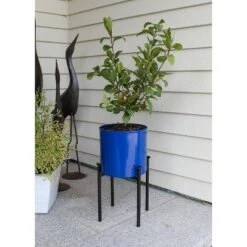 Buy ๐คฉ 15"H Cylinder Planter Pot French Blue Galvanized Steel with 4-Legged Black Wrought Iron Plant Stand - ACHLA Designs ๐ 7 Buy ๐คฉ 15"H Cylinder Planter Pot French Blue Galvanized Steel with 4-Legged Black Wrought Iron Plant Stand - ACHLA Designs ๐ -Planters Sales Store unnamed file 5906