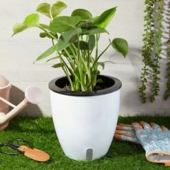 Cheapest 🎉 Juvale 3 Pack White Plastic Self Watering Pots with Water Level Indicator (7.1 x 7.1 x 7.5 in) 🔔