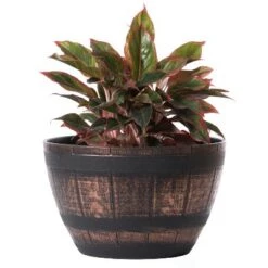 Wholesale ✨ Gardenised Brown Outdoor Rustic Half Barrel Flower Garden Planter Bowl, Plastic ✔️ -Planters Sales Store unnamed file 5932