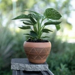 Budget ๐ Terracotta Terracotta Planter - Foreside Home & Garden ๐ 12 Budget ๐ Terracotta Terracotta Planter - Foreside Home & Garden ๐ -Planters Sales Store unnamed file 5966