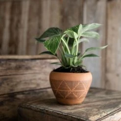 Budget ๐ Terracotta Terracotta Planter - Foreside Home & Garden ๐ 13 Budget ๐ Terracotta Terracotta Planter - Foreside Home & Garden ๐ -Planters Sales Store unnamed file 5967