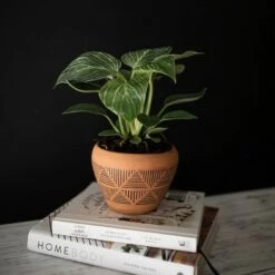 Budget ๐ Terracotta Terracotta Planter - Foreside Home & Garden ๐ 14 Budget ๐ Terracotta Terracotta Planter - Foreside Home & Garden ๐ -Planters Sales Store unnamed file 5968