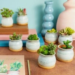 Promo 🌟 Okuna Outpost 8 Pack Small Ceramic Succulent Pots for Cactus Plants with Bamboo Trays, 2.3 in 😍