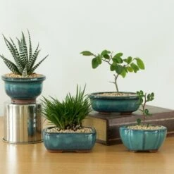 Discount 👍 Gardenised Decorative Mini Glazed Ceramic Bonsai Succulent Pots Flower Planter with Drainage Holes, 4 Pack ✨