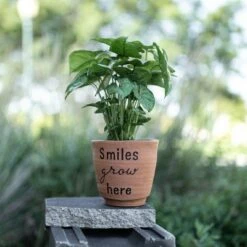 Best deal 🔥 "Smiles Grow Here" Multi Terracotta Planter - Foreside Home & Garden 👏 -Planters Sales Store unnamed file 6029
