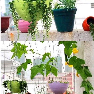 Best reviews of βοΈ Unique Bargains Home Garden Plastic Plant Hanging Flower Pot Holder Planters π 9 Best reviews of βοΈ Unique Bargains Home Garden Plastic Plant Hanging Flower Pot Holder Planters π - Image 7
