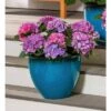 Buy β Plow & Hearth Colorful Faux Glazed Ceramic Self-Watering Planter β€οΈ 1 Buy β Plow & Hearth Colorful Faux Glazed Ceramic Self-Watering Planter β€οΈ -Planters Sales Store unnamed file 6053