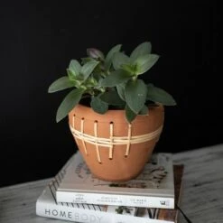 Cheapest 🧨 Woven Terracotta Terracotta & Rattan Planter - Foreside Home & Garden 🛒 -Planters Sales Store unnamed file 6066