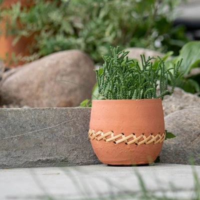 Deals ๐ Terracotta & Cane Weave Planter - Foreside Home & Garden โ๏ธ 6 Deals ๐ Terracotta & Cane Weave Planter - Foreside Home & Garden โ๏ธ - Image 4