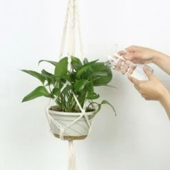 New 🎉 Unique Bargains Macrame Plant Hanger Flower Wall-mounted Rope Hanging Planters Beige 39.4 Inch 1 Pc ✨ -Planters Sales Store unnamed file 6091