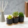 Top 10 🥰 Farmlyn Creek 4 Piece Set Round Black Cement Planter Indoor Outdoor with Modern Wood Base, 8.8 x 3.15 x 2.67 in 🎁