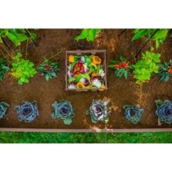 Hot Sale ✨ Vita Urbana Keyhole Garden Rectangular Planter - New England Arbors Espresso 🧨