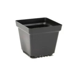 Cheapest ๐ Okuna Outpost 100 Pack Plastic Nursery Pots, Small Square Seed Starter Planter Indoor Outdoor, 3.3 in Black ๐ 10 Cheapest ๐ Okuna Outpost 100 Pack Plastic Nursery Pots, Small Square Seed Starter Planter Indoor Outdoor, 3.3 in Black ๐ -Planters Sales Store unnamed file 6121
