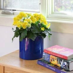 Best Pirce ๐ฅ 7"H Cylinder Planter Pot French Blue Galvanized Steel - ACHLA Designs โญ