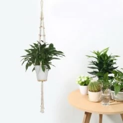 Best Pirce 👏 Unique Bargains Garden Hanging Cotton Rope Basket Macrame Plant Flower Planters Beige 47.2 Inch 1 Pc 😍 -Planters Sales Store unnamed file 6134