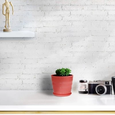 Coupon π Unique Bargains Parterre Farm Home Plastic Round Design With Tray Flower Cactus Planters Red 1 Pc π 5 Coupon π Unique Bargains Parterre Farm Home Plastic Round Design With Tray Flower Cactus Planters Red 1 Pc π - Image 4