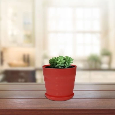 Coupon π Unique Bargains Parterre Farm Home Plastic Round Design With Tray Flower Cactus Planters Red 1 Pc π 6 Coupon π Unique Bargains Parterre Farm Home Plastic Round Design With Tray Flower Cactus Planters Red 1 Pc π - Image 5