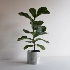 Outlet 🌟 White Metal Planter - Foreside Home & Garden 🧨 -Planters Sales Store unnamed file 6191