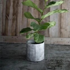 Outlet 🌟 White Metal Planter - Foreside Home & Garden 🧨 -Planters Sales Store unnamed file 6192