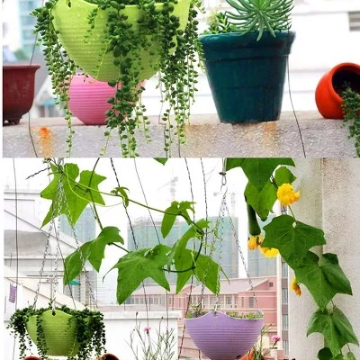 Buy ⭐ Unique Bargains Home Garden Plant Basket Hanging Flower Pot Plant Planters White 10 Pcs ✨ 7 Buy ⭐ Unique Bargains Home Garden Plant Basket Hanging Flower Pot Plant Planters White 10 Pcs ✨ - Image 6