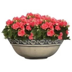 Best deal 🥰 Set of 2 Corinthian Bowl Planters - Classic Home and Garden Ivory Ash 🥰