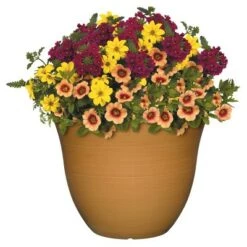 Discount π Set of 2 Honeysuckle Patio Pot Planter - Classic Home and Garden Fossil π