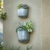 Buy 🛒 2pc Wall Mounted Planter Set Galvanized Metal - Danya B. ⌛ -Planters Sales Store unnamed file 6356
