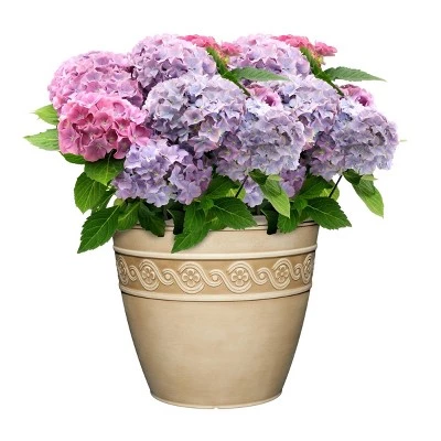 Brand new π Set of 2 Corinthian Planters - Classic Home and Garden Storm β€οΈ 3 Brand new π Set of 2 Corinthian Planters - Classic Home and Garden Storm β€οΈ