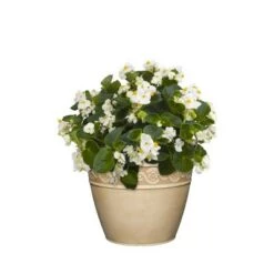 Discount 💯 Set of 3 Corinthian Planters - Classic Home and Garden Storm 🔔
