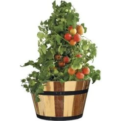 Wholesale 💯 Set of 3 Acacia Wood Barrel Planters - Classic Home and Garden 🎁 -Planters Sales Store unnamed file 6440