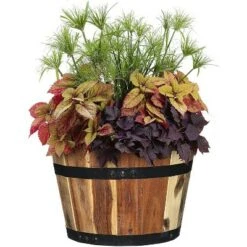 Wholesale 💯 Set of 3 Acacia Wood Barrel Planters - Classic Home and Garden 🎁 -Planters Sales Store unnamed file 6441