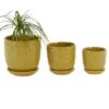 Hot Sale ⌛ Olivia & May Set of 3 Ceramic Planter with Saucer Set Yellow - Olivia & May 👍 -Planters Sales Store unnamed file 6504