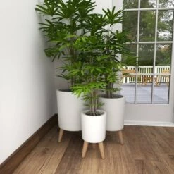 Coupon 👍 Set of 3 Planters with Wooden Legs - Olivia & May Black 💯 -Planters Sales Store unnamed file 6527