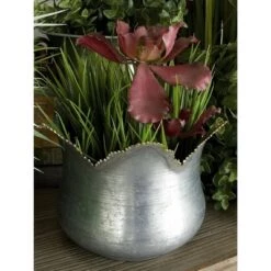 New 😍 Olivia & May Set of 3 Farmhouse Petal- Edge Iron Novelty Planters - Olivia & May 🌟