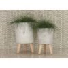 Cheap 🎉 Olivia & May Set of 3 Contemporary Fiber Clay Planters with Wooden Legs Gray - Olivia & May 🌟 2 Cheap 🎉 Olivia & May Set of 3 Contemporary Fiber Clay Planters with Wooden Legs Gray - Olivia & May 🌟 -Planters Sales Store unnamed file 6627