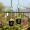 Best reviews of π 2pc Hanging Wall Planter Set Black Iron - Danya B. βοΈ 2 Best reviews of π 2pc Hanging Wall Planter Set Black Iron - Danya B. βοΈ -Planters Sales Store unnamed file 6648