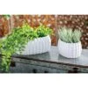 Cheap 😀 Olivia & May Set of 3 Modern Ribbed Stoneware Planters White - Olivia & May 👏 -Planters Sales Store unnamed file 6670