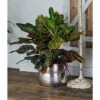 Best deal ✔️ Olivia & May Set of 3 Contemporary Aluminum Planters with Handles - Olivia & May 🎉 -Planters Sales Store unnamed file 6675