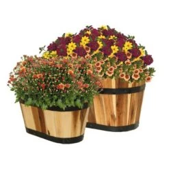 Deals ❤️ Set of 2 Acacia Oval Barrel Planters - Classic Home and Garden ✔️