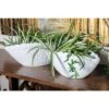 Hot Sale ⭐ Olivia & May Set of 2 Eclectic Ceramic Planters White - Olivia & May 🤩 -Planters Sales Store unnamed file 6700