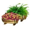 Wholesale 👍 Set of 2 Acacia Half Barrel Planters - Classic Home and Garden 🌟