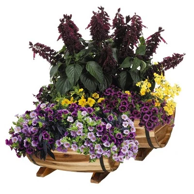 Wholesale 👍 Set of 2 Acacia Half Barrel Planters - Classic Home and Garden 🌟 4 Wholesale 👍 Set of 2 Acacia Half Barrel Planters - Classic Home and Garden 🌟 - Image 2