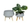 Best Pirce 🥰 Set of 2 Contemporary Wood Bowl Planters - Olivia & May White 😉 -Planters Sales Store unnamed file 6722