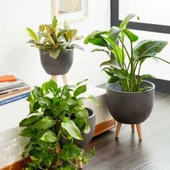 Cheap 🔥 Set of 3 Round Planters with Wooden Legs - Olivia & May Black ✔️