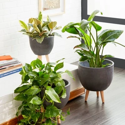 Cheap ๐ฅ Set of 3 Round Planters with Wooden Legs - Olivia & May Black โ๏ธ 3 Cheap ๐ฅ Set of 3 Round Planters with Wooden Legs - Olivia & May Black โ๏ธ