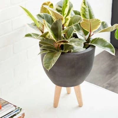 Cheap ๐ฅ Set of 3 Round Planters with Wooden Legs - Olivia & May Black โ๏ธ 6 Cheap ๐ฅ Set of 3 Round Planters with Wooden Legs - Olivia & May Black โ๏ธ - Image 4
