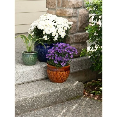 Deals ⌛ Zingz & Thingz Set of 3 Ceramic Flower Pots Jewel Tone - Zings & Thingz ✨ 5 Deals ⌛ Zingz & Thingz Set of 3 Ceramic Flower Pots Jewel Tone - Zings & Thingz ✨ - Image 4