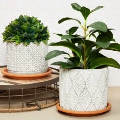 Best Pirce 🥰 Farmlyn Creek 15 Pack Plastic Flower Pot Saucers, Drip Tray for Potted Plants, Round, Brown, 6" 👍